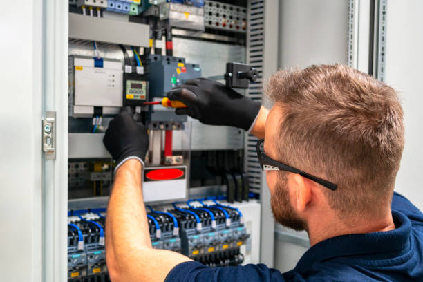 Best Electrician for Home Renovation  in Flat Rock, MI