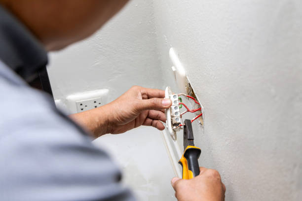 Best Commercial Electrician Services  in Flat Rock, MI